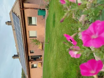 Haus_Vorgarten_2
