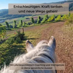 Pferdecoaching