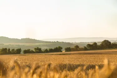Feld Weiler (© Schmidtburger Hof)