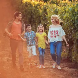Eine Familie geht fröhlich durch einen Weingarten. Die Kinder halten sich an den Händen, während die Eltern lächeln und miteinander sprechen.