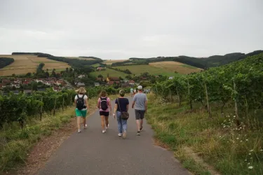 Eine Gruppe von vier Personen wandert auf einem Weg durch Weinberge. Im Hintergrund sind sanfte Hügel und ein kleines Dorf zu sehen.