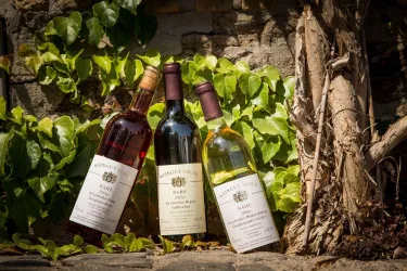 Weingut Mieck