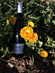Weingut Theis