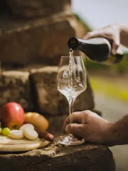 Weingut Schauß
