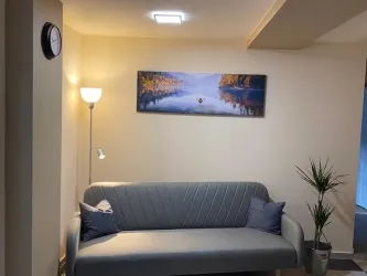 Ein gemütliches Wohnzimmer mit einem grauen Sofa und zwei Kissen. An der Wand hängt ein Bild einer ruhigen Seenlandschaft und eine Pflanze steht daneben.