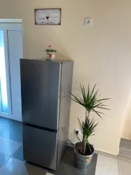 Ein silberner Kühlschrank steht an einer Wand in einer hellen Küche. Neben dem Kühlschrank befindet sich eine Topfpflanze.
