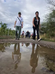 Zwei Personen gehen auf einem Weg vorbei an Weinreben. Ihre Reflexionen sind im Wasser einer Pfütze zu sehen.