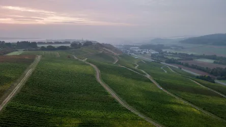Weingut Udo Weber