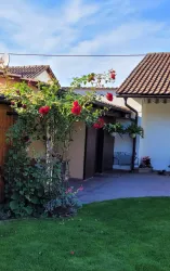 Ein schöner Garten mit einer Rosenpflanze und einer gepflasterten Terrasse. Im Hintergrund sind ein paar Häuser und ein blauer Himmel sichtbar.