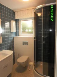 Ein modernes Badezimmer mit blauen Fliesen. Es gibt eine Dusche, ein Waschbecken und ein WC.