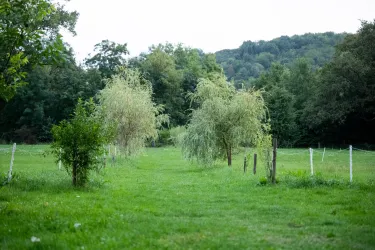 Camping_Nahemühle_Monzingen
