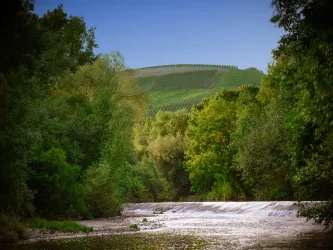 Camping_Nahemühle_Nahetal