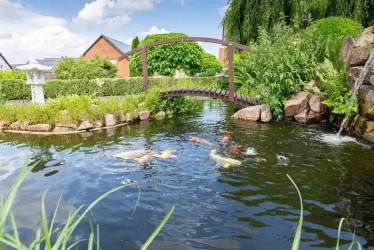 Garten, Ansicht 1
