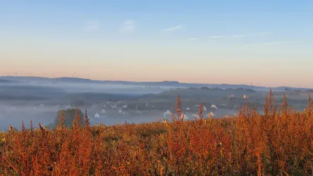 Themenwanderweg - Blick auf Reichenbach