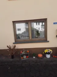 Ein Fenster an einer Wand mit dekorativen Elementen davor. Es gibt Kürbisse, Blumen und andere Pflanzen, die eine gemütliche Atmosphäre schaffen.