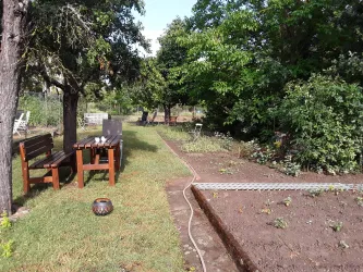 Ein gepflegter Garten mit einem Wege aus Gras und Erde. Auf der linken Seite stehen Bänke und es sind einige Pflanzen sichtbar.