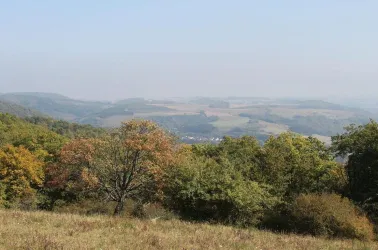 Ausblick vom Wartekopf