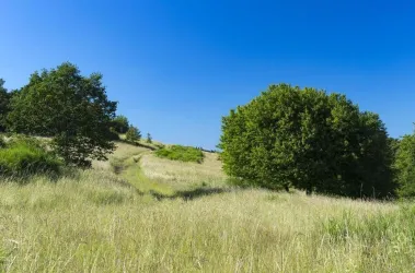 Weg durchs Naturschutzgebiet Wartekopf