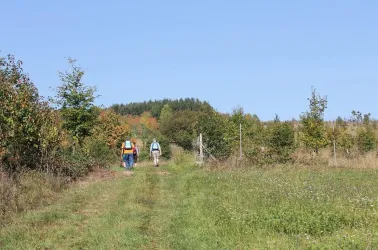 Wanderer im Wartekopf