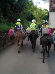 Kinder reiten auf Eseln, während eine Gruppe von ihnen auf einem Weg unterwegs ist. Die Umgebung ist grün und es ist ein schöner, sonniger Tag.