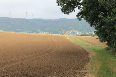 Preußensteig am Steinberg Ausblick (© Jürgen Wachowski, FVZV Pfälzer Bergland)
