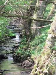 Weg Teufelsstein