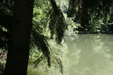 Weiher an der PWV-Hütte