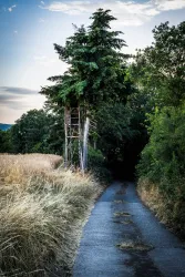 Weg von Niederalben zum Mittagsfels