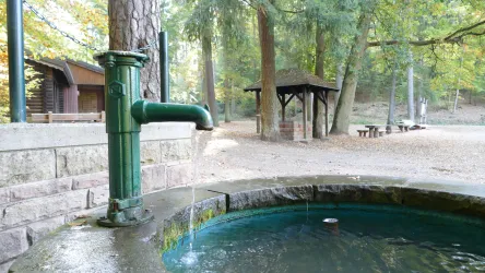 Eine grüne Handpumpe steht an einem runden Brunnen im Wald. Im Hintergrund sind Fichten und ein überdachter Platz zu sehen.