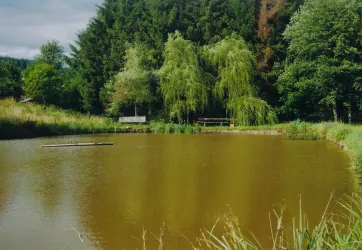 Mehlbach (© Tourist-Info Otterbach-Otterberg)