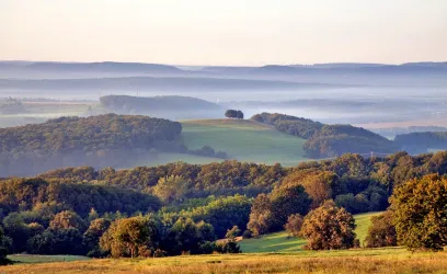 Blick aus der Gemarkung Sulzbach (© Tourist-Info Otterbach-Otterberg)