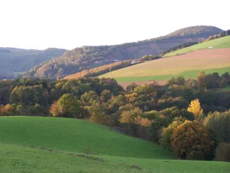 Ausblick Sulzbachtal