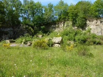 Steinbruch Sulzbachtal (© FVZV Pfälzer Bergland)