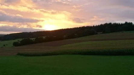 Landschaft  (© Daniela Kollenyi)