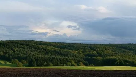 Landschaft um Daubach (© Daniela Kollenyi)