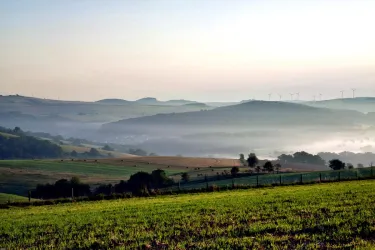 Blick in Richtung Olsbrücken (© Tourist-Info Otterbach-Otterberg)