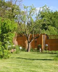 Gartenimpressionen 2