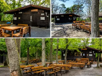 Eine gemütliche Waldhütte mit Holzdecks und Sitzgelegenheiten im Freien. Der Bereich ist von grünen Bäumen umgeben und bietet eine ruhige Atmosphäre.