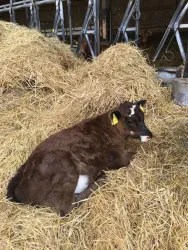 in der Ruhe liegt die Kraft