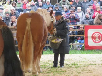 Foto Preisübergabe (© Ortsgemeinde Quirnbach)