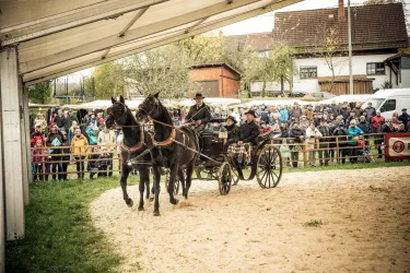 Foto Kutsche (© Ortsgemeinde Quirnbach)