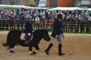 Foto Pony (© Ortsgemeinde Quirnbach)