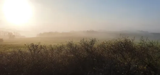 Nebelige Landschaft