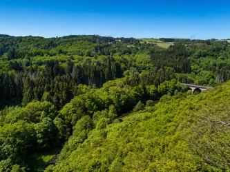 Eine grüne Landschaft mit dichten Wäldern und einem klaren blauen Himmel. Im Vordergrund verläuft eine Brücke über einen schönen Flussbereich.