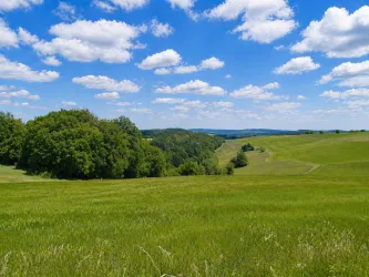 Eine weitläufige grüne Landschaft unter einem klaren Himmel mit vielen Wolken. Im Hintergrund sind Hügel und Bäume zu sehen.