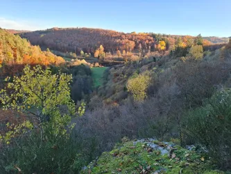 Ein malerisches Tal mit buntem Herbstlaub und sanften Hügeln. Der Himmel ist klar und die Natur strahlt in warmen Farben.