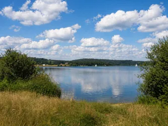 Ein ruhiger See mit spiegelndem Wasser und sanften Hügeln im Hintergrund. Im Vordergrund wächst hohes Gras und es sind einige Boote zu sehen.