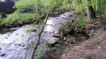 20180428_190151 (© Beate Thome)