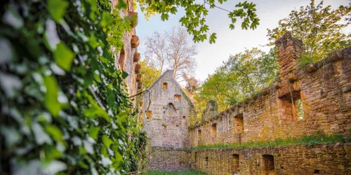 Die Klosterruine Disibodenberg im Sommer