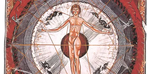 Ein historisches Diagramm des menschlichen Körpers in einem Kreis. Der Körper ist geometrisch angeordnet, um verschiedene Proportionen darzustellen.